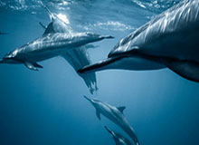 星空体育app：把健康点亮你的每一天